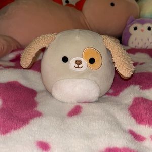 Dog squishmallow 5 in